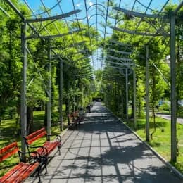 A shaded green walkway with benches in a city park